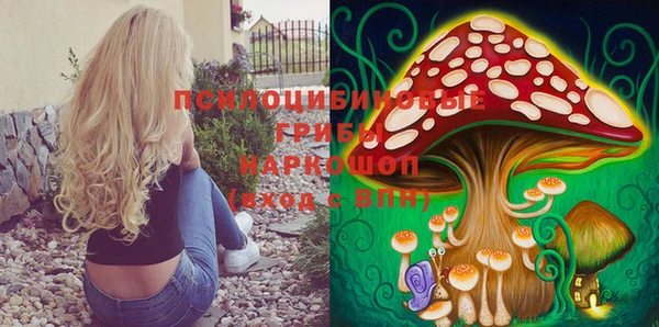 спайс Горнозаводск