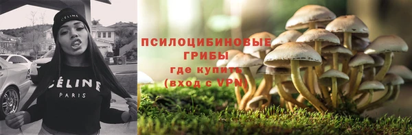 ешки Горно-Алтайск