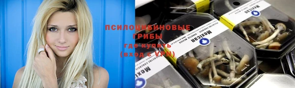 ALPHA-PVP Вяземский