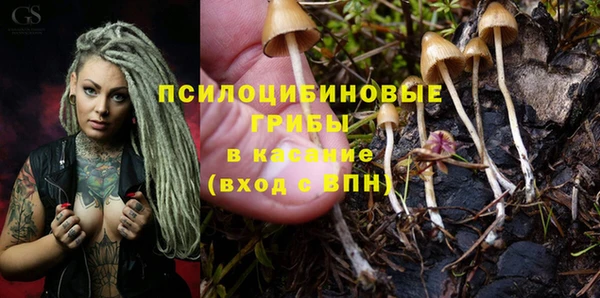 ешки Горно-Алтайск