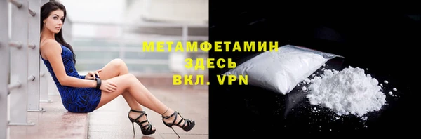 прущие грибы Верея