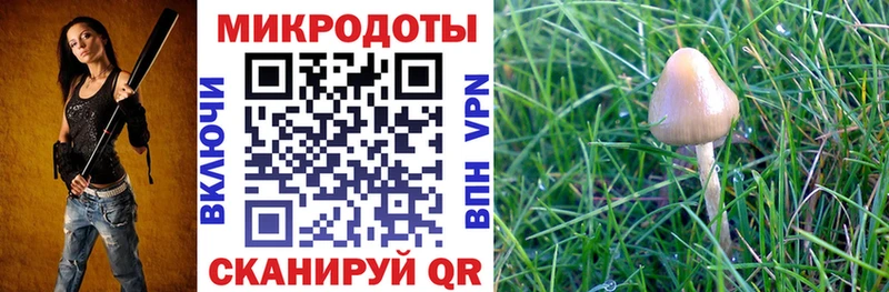 маркетплейс наркотические препараты  Елабуга  Галлюциногенные грибы мухоморы 
